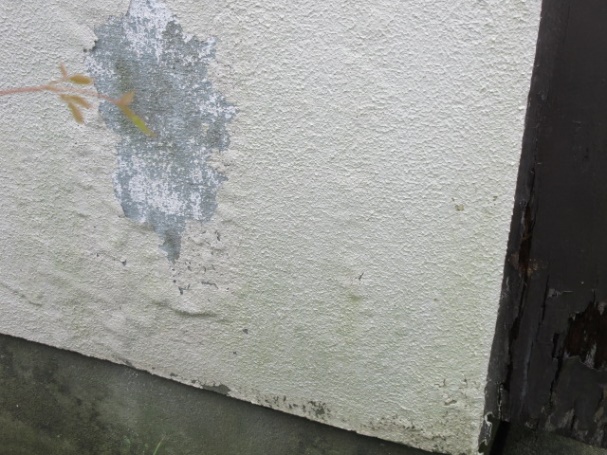 写真：外壁塗膜剥離箇所