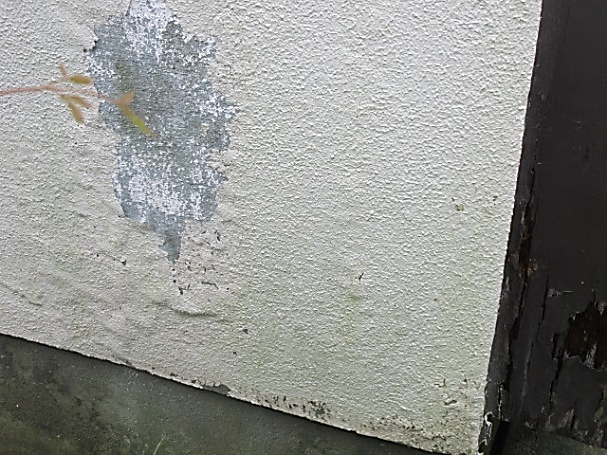 写真：外壁塗膜の剥がれ